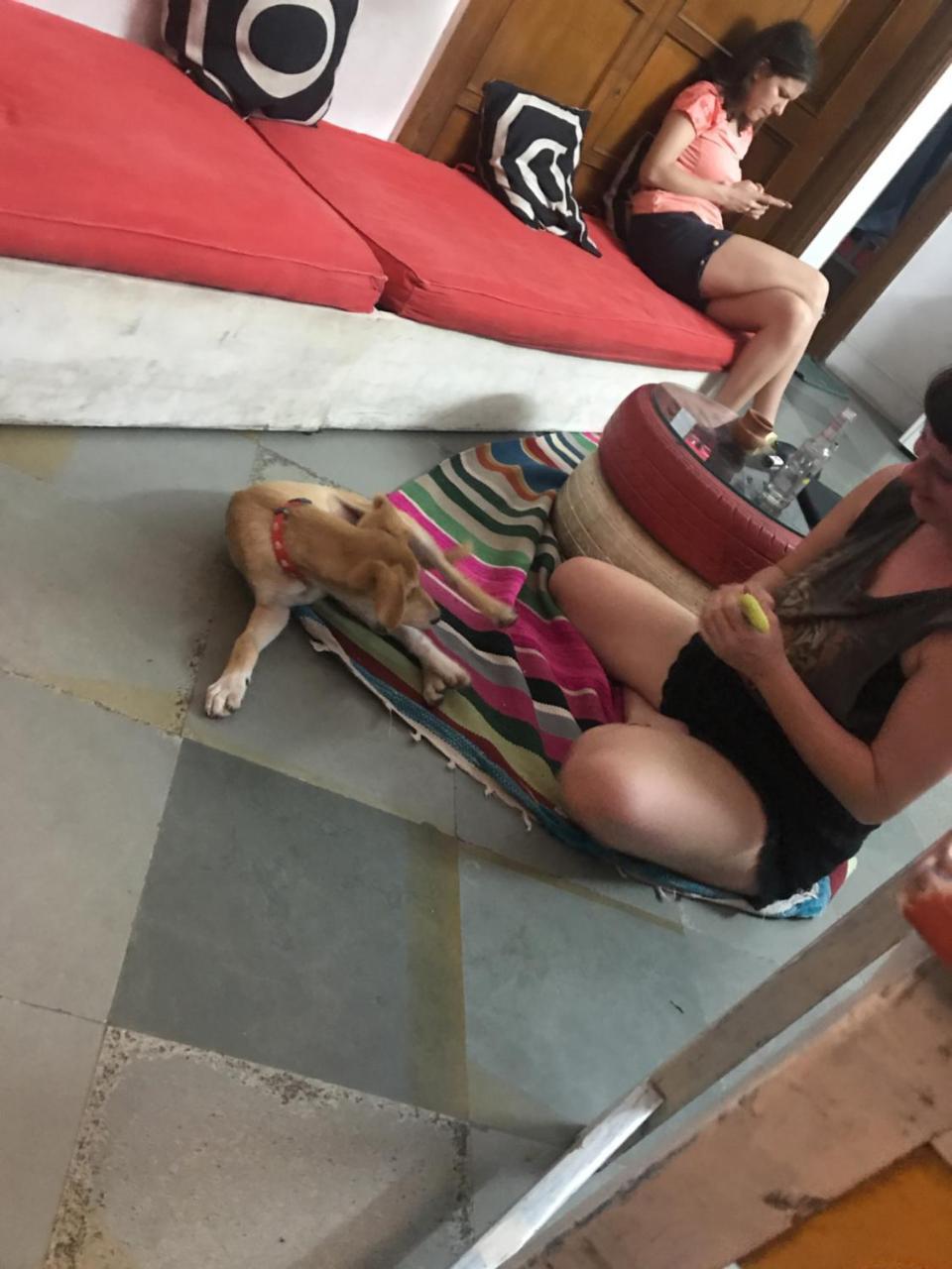 Doodle Rack Hostel Jaipur Luaran gambar